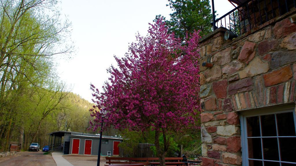 Traveler's Hostel Shared Dormitory